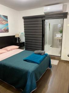 Postel nebo postele na pokoji v ubytování Moderna Casa con Jacuzzi Hidromasaje