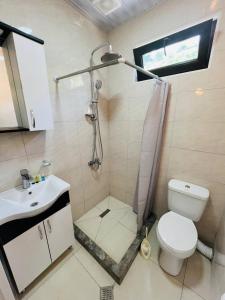 a bathroom with a shower and a toilet and a sink at 8 mountains Cottage near Chakvi in Gorgadzeebi +17 photos
