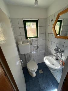 UgrinićiにあるKuća za odmor Anaのトイレと洗面台のある小さなバスルーム