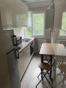 a kitchen with a refrigerator and a table in it at Apartament Wave in Constanţa