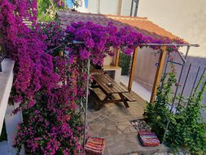 Zahrada ubytování Nikolaos House