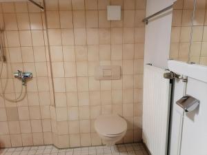 a bathroom with a toilet and a shower at Ferienwohnung Heustüble in Hinterzarten