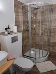 a bathroom with a shower and a toilet and a sink at Agroturystyka Nasza Bajka in Pieniężno +21 photos