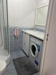 Un baño con lavadora y lavabo. en Le Studio Calme et Moderne, en Saint-Maur-des-Fossés