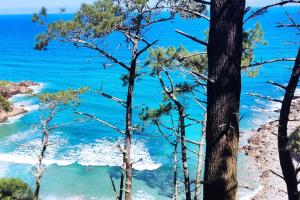 a view of the blue ocean through trees at Casa rural los Miradores in Muros de Nalón