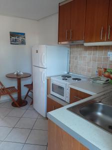 A kitchen or kitchenette at Studios Achileus 2