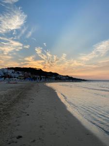 vista su una spiaggia con l'oceano e gli edifici di ilgecotds a Torino di Sangro