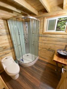 un bagno con wc e doccia in vetro di Cabañita Del Árbol a Las Trancas