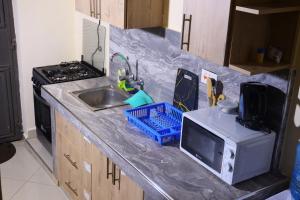 a kitchen counter with a sink and a microwave at CK Homes in Voi +4 photos