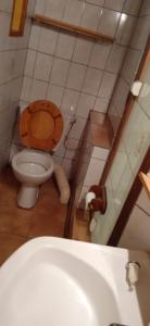 a bathroom with a toilet and a sink at Maison de village avec jardin in Saint-Louis-et-Parahou +11 photos