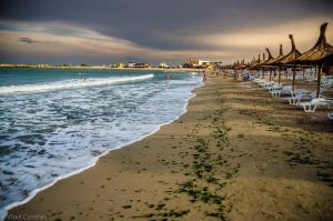 a beach with chairs and umbrellas and the ocean at Vila Rin in Mangalia