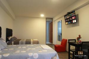 TV a/nebo společenská místnost v ubytování Hotel Palacio del Sur