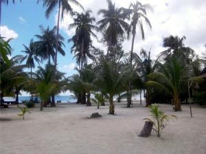 Naturlandschaft in der Nähe des Resorts