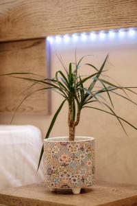 een potplant op een tafel bij The Clock House in Veria