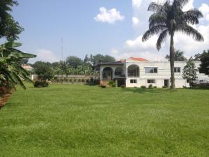 a house with a palm tree in front of a yard at Egg Botanical View in Entebbe