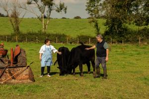 Zwei Menschen stehen mit zwei Kühen auf einem Feld in der Unterkunft Oranmore in Ballymena