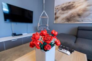 TV a/nebo společenská místnost v ubytování Park Apartman