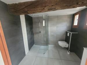 a bathroom with a shower and a toilet at LE GRAND CASTILLON - Gîte pêche avec 2 étangs privés, foret et Jacuzzi en option in Castelnau-dʼAuzan