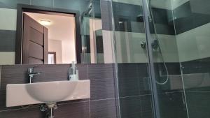 a bathroom with a sink and a glass shower at Villa Żeglarzy-Apartamenty 3pokojowe in Rusinowo +98 photos