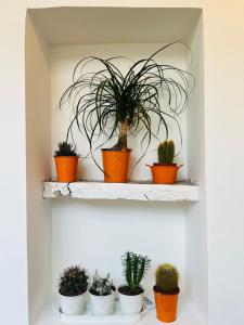 Fotografie z fotogalerie ubytování Domus Isidis room v destinaci Benevento