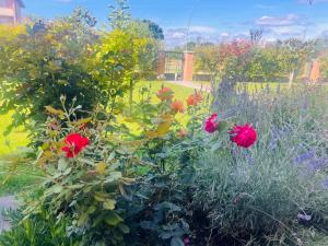 Φωτογραφία από το άλμπουμ του Casa delle More στη Σιένα +24 φωτογραφίες