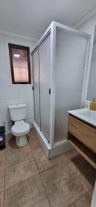 サンティアゴにあるPatrimonia Hostal Los Gladiolosのトイレ、シャワー、洗面台を備えたバスルーム