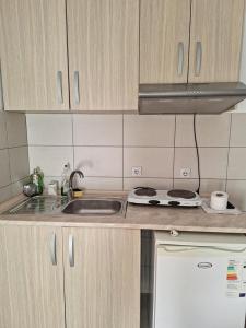 Kuchyň nebo kuchyňský kout v ubytování Apartments Ana