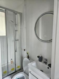a bathroom with a shower and a toilet and a sink at spacieux duplex Stade de France 24 pour 4 personnes in Saint-Denis +6 photos