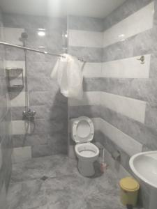 a bathroom with a toilet and a shower and a sink at Апартаменты с кухней и номера с удобствами у моря in K'obulet'i +70 photos