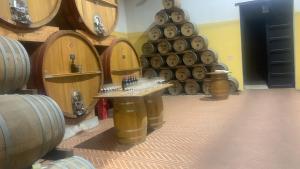 Fotografie z fotogalerie ubytování La Mimosa Case Vacanze v destinaci Marsala + 83 fotografií