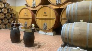 Drinks på La Mimosa Case Vacanze