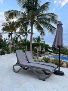 a chair and an umbrella next to a palm tree at Hawana Salalah Resort - Acacia 7 in Ţāqah