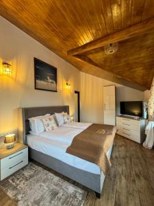 a bedroom with a bed and a flat screen tv at Hanul Doctorului Badeni-Runcu Apartament in Bădeni
