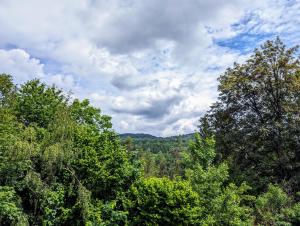 Príroda v okolí apartmánu