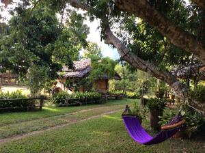 Eine lila Hängematte hängt an einem Baum vor einem Haus in der Unterkunft Yang Tone Farm Stay in Chiang Dao + 45 Fotos