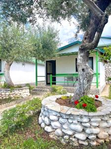 a tree and a stone wall with flowers in front of a building at Chalet Ambel in Dhërmi