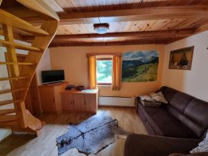 TV a/nebo společenská místnost v ubytování Lodge In Koprivnik
