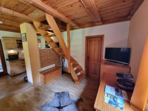 TV a/nebo společenská místnost v ubytování Lodge In Koprivnik