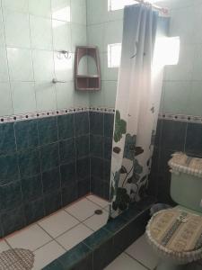 a bathroom with a shower with a toilet and a mirror at Dulce Hogar 01 in Loja +14 photos
