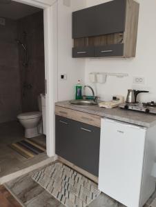 a kitchen with a sink and a toilet at Villa Twins Dojran in Nov Dojran +69 photos