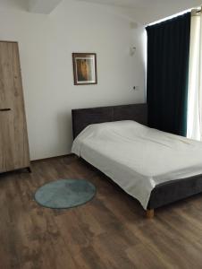 a bedroom with a bed and a blue rug at Villa Twins Dojran in Nov Dojran