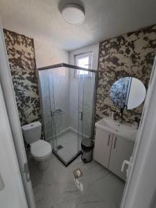 a bathroom with a shower and a toilet and a sink at Chorev Apartments in Valandovo
