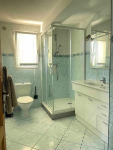 a bathroom with a shower and a toilet and a sink at Le Priest - Calme, hopital nord, fac de médecine in Saint-Priest-en-Jarez