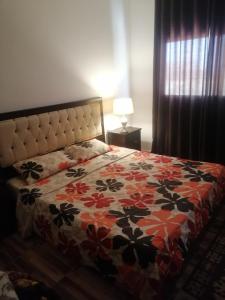 Fotografie z fotogalerie ubytování The Stunning View v destinaci Wadi Musa