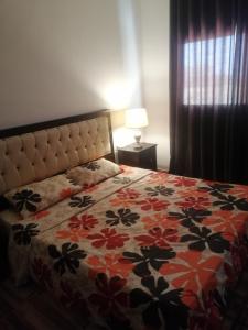 Fotografie z fotogalerie ubytování The Stunning View v destinaci Wadi Musa