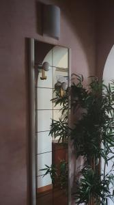Fotografie z fotogalerie ubytování B&B Palmagrill v destinaci Malcontenta