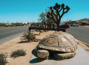 Fotografie z fotogalerie ubytování Joshua Tree King&Queen Beds 10mins to JTNP New v destinaci Twentynine Palms