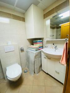 a small bathroom with a toilet and a sink at Apartman Cristo Becici in Rafailovici
