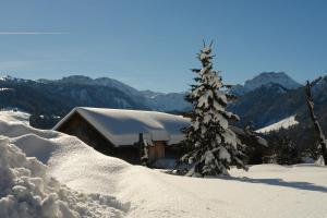 a snow covered pine tree in front of a barn at Gasthof Hirschen in Sibratsgfäll