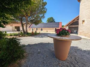 Vonkajšia záhrada v ubytovaní Charmant Gîte en Berry avec Étang, Terrasse et Spa à Proximité - FR-1-591-407